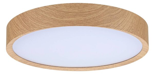 Paulmann Tega stropné LED svetlo IP44 drevo, Svetlé drevo, Kúpeľňa, Plast, Moderný, Závesné svietidlo