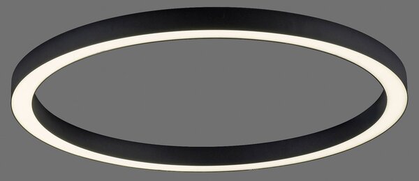 PURE stropné LED svetlo Lines, Ø 70 cm, antracitová, diaľkové ovládanie, Čierna, Obývacia izba / jedáleň, Hliník, Moderný, Závesné svietidlo