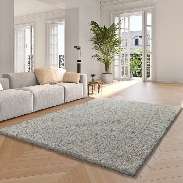 Biely koberec 120x170 cm Atesa – Universal