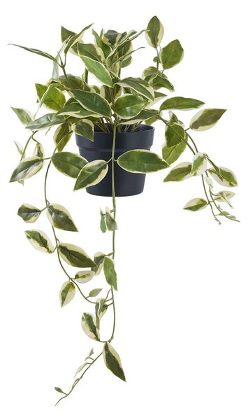 Umelá rastlina (výška 33 cm) Hoya Carnosa – House Nordic