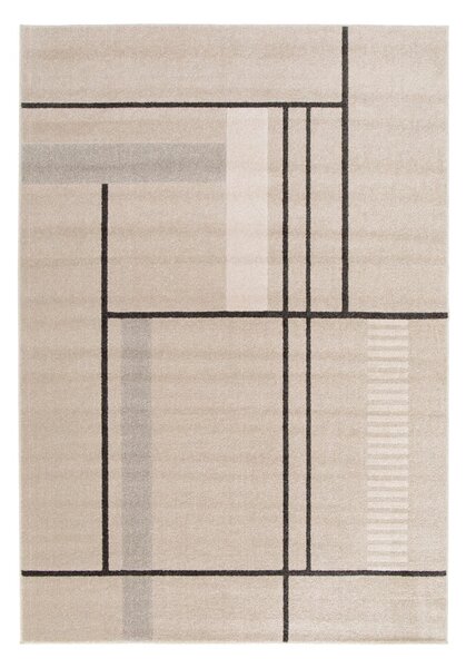 Béžový koberec 160x230 cm Domus – Universal