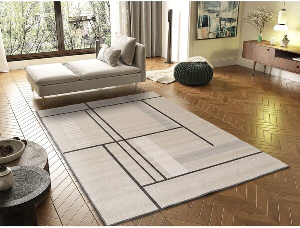 Béžový koberec 160x230 cm Domus – Universal
