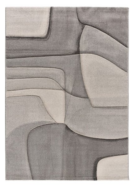 Sivý koberec 160x230 cm Medel – Universal