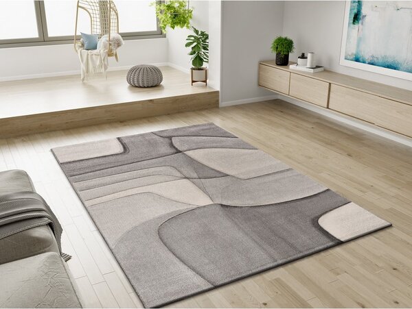 Sivý koberec 160x230 cm Medel – Universal