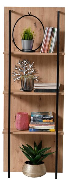 REGÁLOVÝ DIEL, farba duba, 50/137,5/29,5 cm Xora - TV nábytok