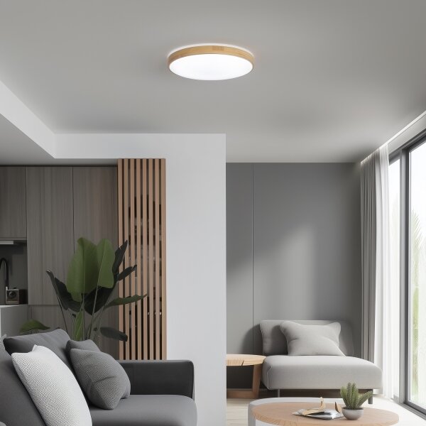 Brilagi - stmievateľné LED stropné svietidlo PINE LED/24W/230V + diaľkové ovládanie