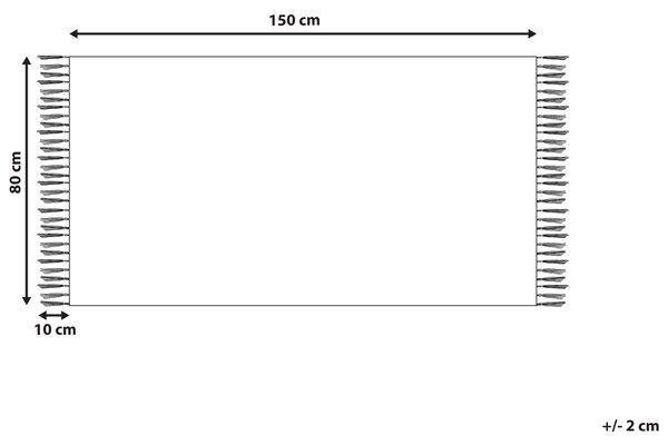 Koberec sivý recyklovaný syntetický materiál 80 x 150 cm so strapcami interiér exteriér