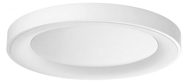 Ideal Lux - LED stropné svietidlo PLANET LED/25W/230V CRI 90 pr. 50 cm biela