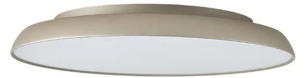 MInimalistické stropné svietidlo Clara 60 stmievateľné champagne