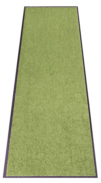 Hanse Home, Rohožka Wash & Clean 101470 Green, 60x180, zelená, chodba / predsieň