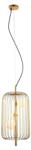 Italux MDM-3934/3 GD Hayden G9