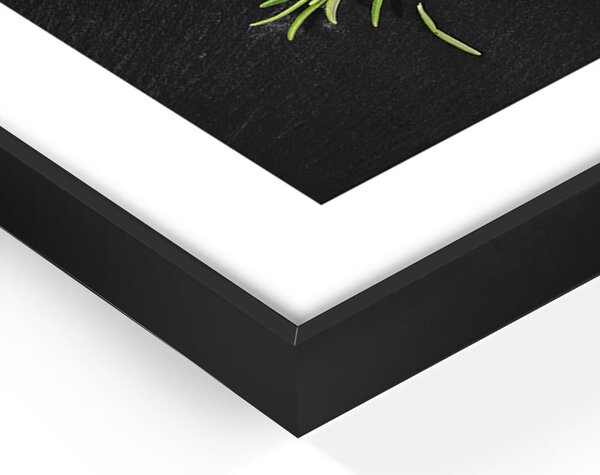 Obraz 50x70 cm Rosemary – Styler