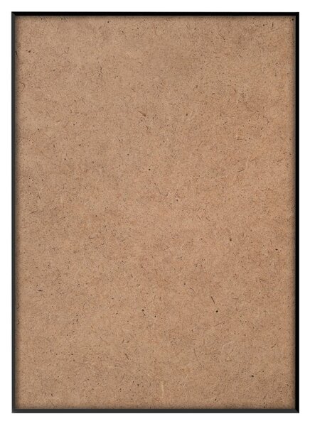 Obraz 50x70 cm Rosemary – Styler