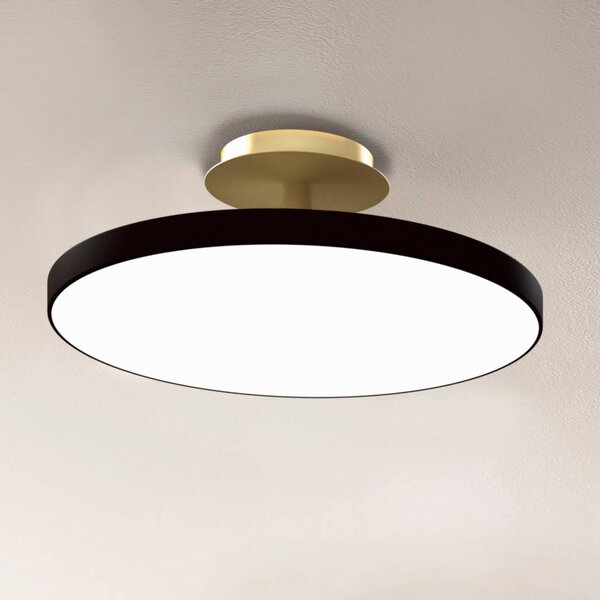 UMAGE stropné LED svetlo Asteria UP PLUS, čierne, Ø 60 cm,, Čierna, Obývacia izba / jedáleň, kov, Dizajn, Stropné svetlo polkruhové s priestorom