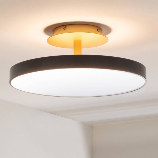 UMAGE stropné LED svetlo Asteria UP PLUS, antracit Ø 43 cm, Čierna, Obývacia izba / jedáleň, kov, Dizajn, Stropné svetlo polkruhové s priestorom