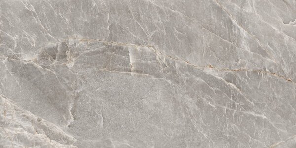 Majestic Grey Silky 60x120