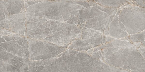 Majestic Grey Silky 60x120