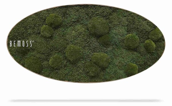 Machový obraz Elipsa FLATMOSS & BOLMOSS Natural - 50 x 100 cm