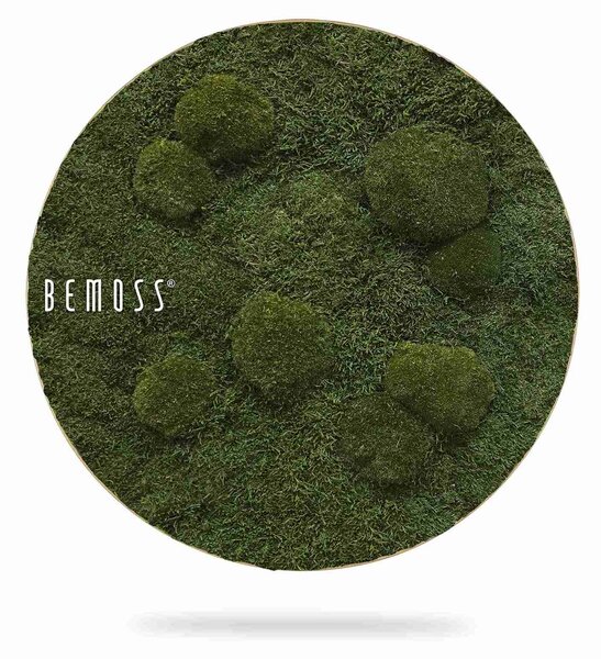 Machový obraz kruh FLATMOSS & BOLMOSS Natural Green - Priemer 40 cm
