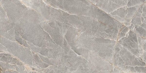 Majestic Grey Silky 60x120