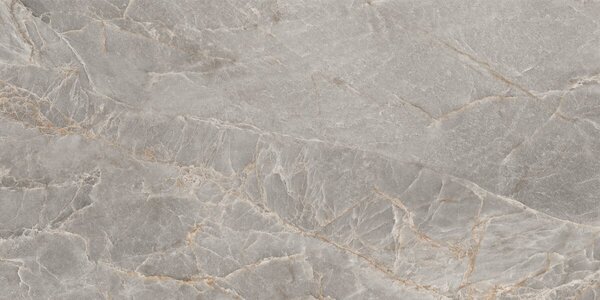 Majestic Grey Silky 60x120