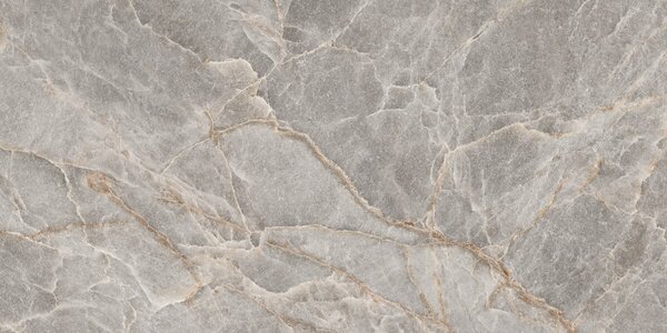 Majestic Grey Silky 60x120