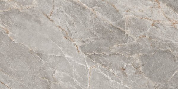 Majestic Grey Silky 60x120