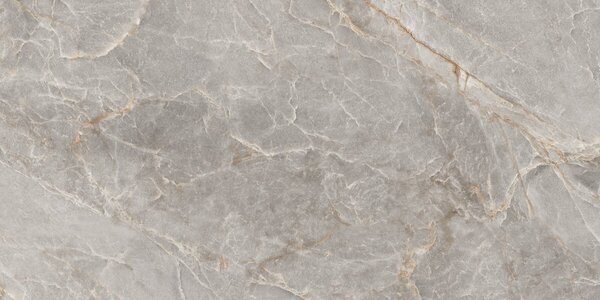 Majestic Grey Silky 60x120