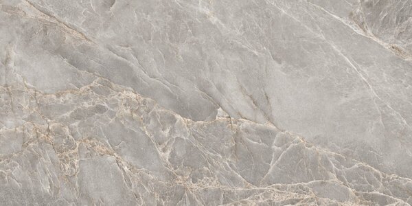 Majestic Grey Silky 60x120