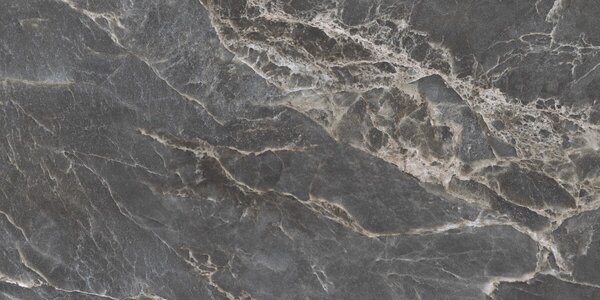 Majestic Dark Silky 60x120