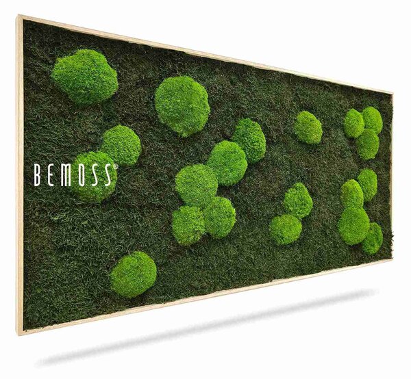 Machový obraz FLATMOSS & BOLMOSS Light Green - 40 x 40 cm