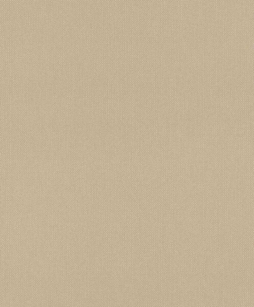 RASCH | Vliesová tapeta na stenu Deco Style 312416 | 0,53 x 10,05 m | hnedá
