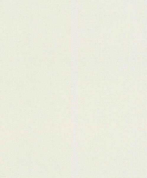 RASCH | Vliesová tapeta na stenu Deco Style 312324 | 0,53 x 10,05 m | biela