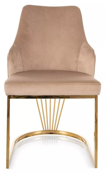 Signal Jedálenská stolička Alure Velvet, béžová / zlatá