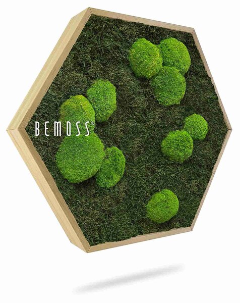 Machový Hexagon FLATMOSS & BOLMOSS Light green - Priemer 30 cm (v najširšom mieste šesťuholníka)
