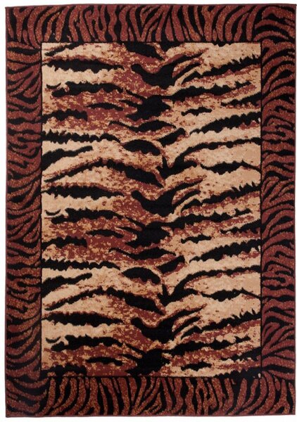 Kusový koberec PP Afro hnedý 300x400cm