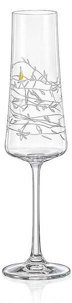 Crystalex GARDEN poháre na sekt 210 ml 2 ks