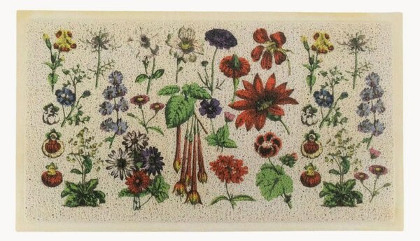 Umývateľná rohožka Botanicals