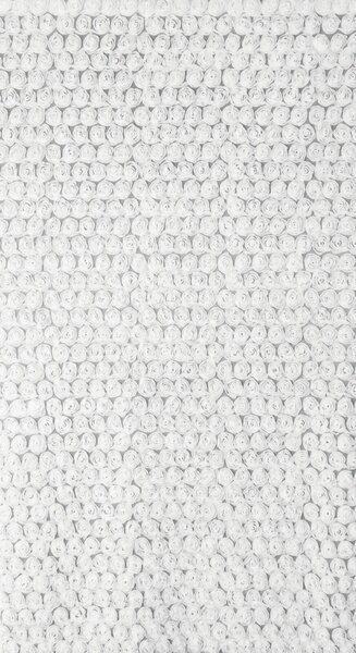 ZÁCLONA NA KRÚŽKOCH EVA MINGE ROSES1 140X250 CM BIELA