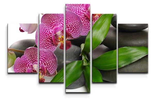 Sablio Obraz - 5-dílný Orchidey a kamene - 125x90 cm