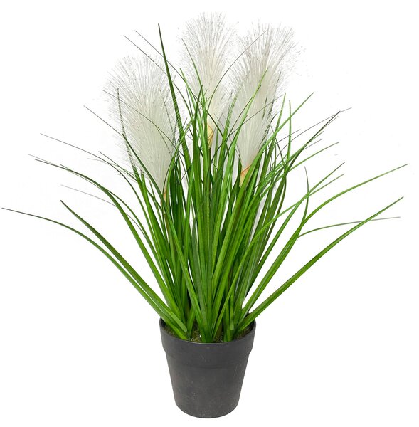 DEKORAČNÁ TRÁVA, 36 cm Ambia Home - Kvety & kvetináče