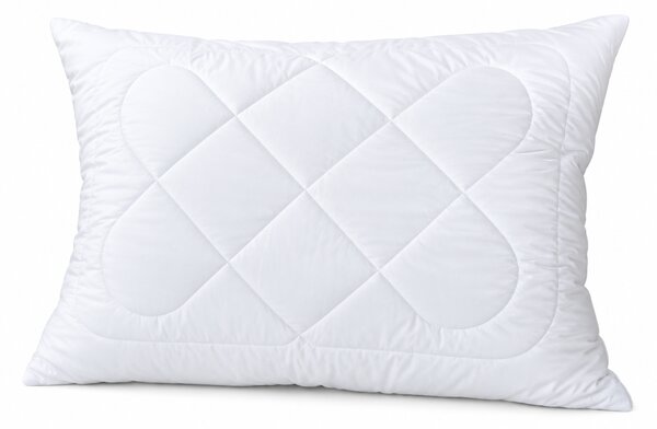 Vankúš ALOE VERA zips 70x90cm 900g
