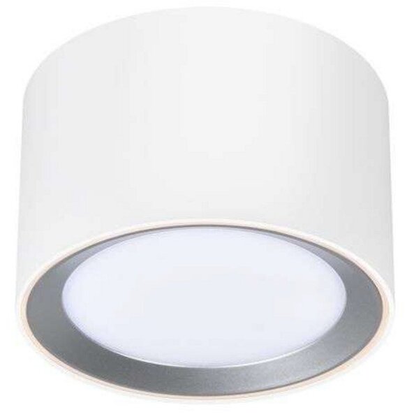 Stropné Lampa Nordlux, Landon Smart, stmievateľné, Biela, Obývacia izba, Kov