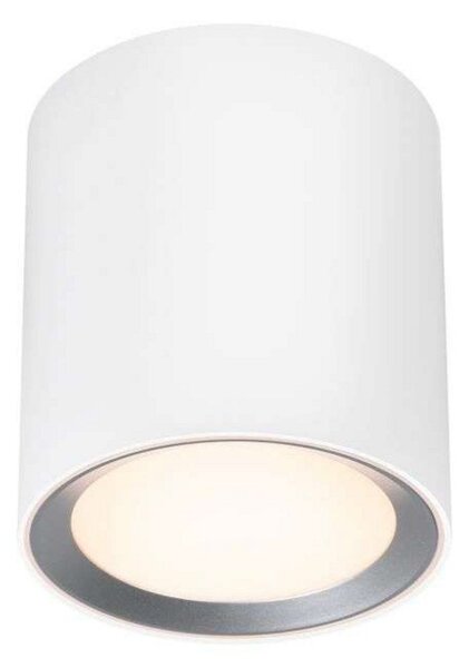 Stropné Lampa Nordlux, Landon Smart, stmievateľné, Biela, Obývacia izba, Kov