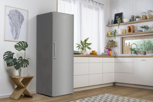 Gorenje R619EES5 - Jednodverová chladnička