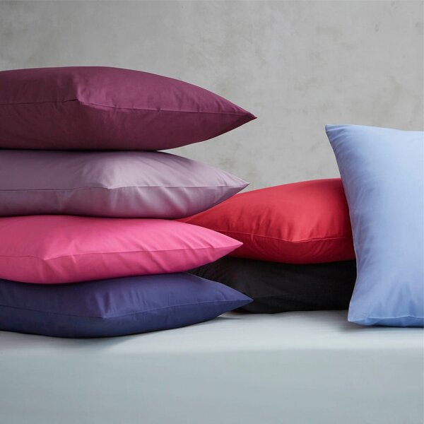 Biela perkálová plachta 180x260 cm Easy Iron Percale – Catherine Lansfield