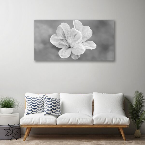 Obraz na plátne Kvety rastlina 100x50 cm