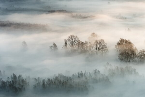 Umelecká fotografie Winter fog, Marco Galimberti, (40 x 26.7 cm)
