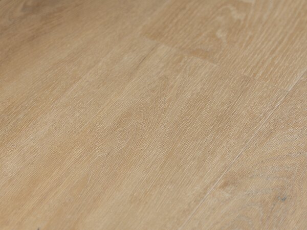Oneflor ECO55 English Oak Honey vinylová podlaha OFD-055-064