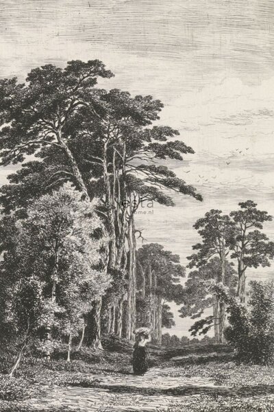 Vliesová fotoapeta, Rytina borovicového lesa 158886, 186 x 279 cm, Blush, Esta Home
